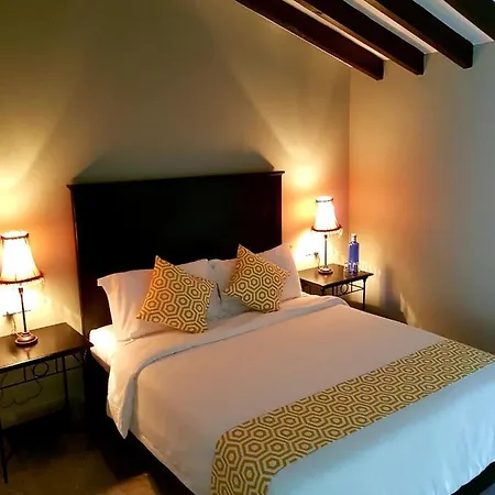 Casa 44 3* 阿尔豪林格朗德